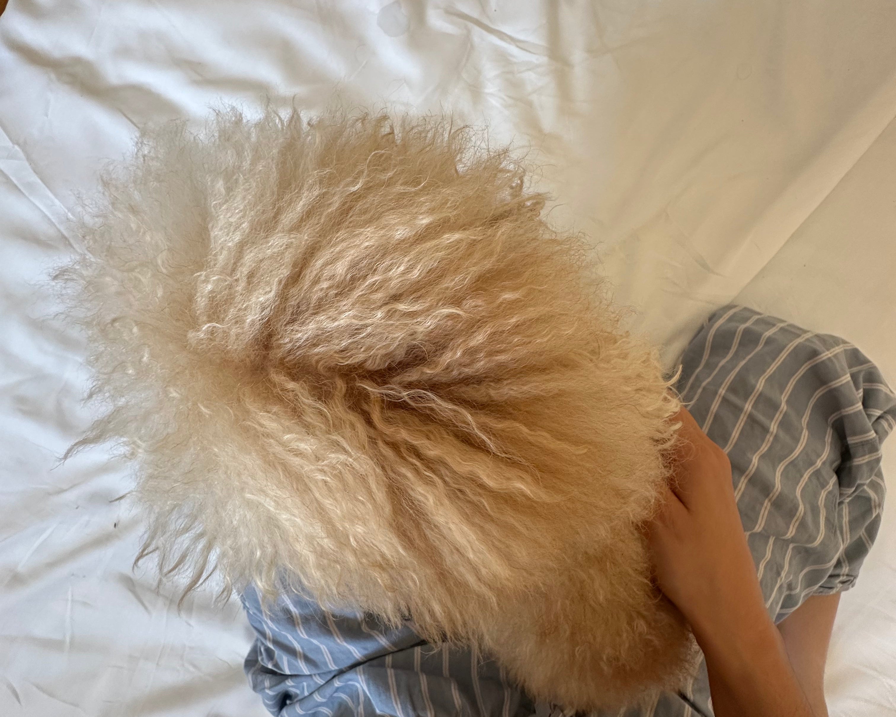 Grooming Benefits: Warum regelmäßige Hundepflege so wichtig ist