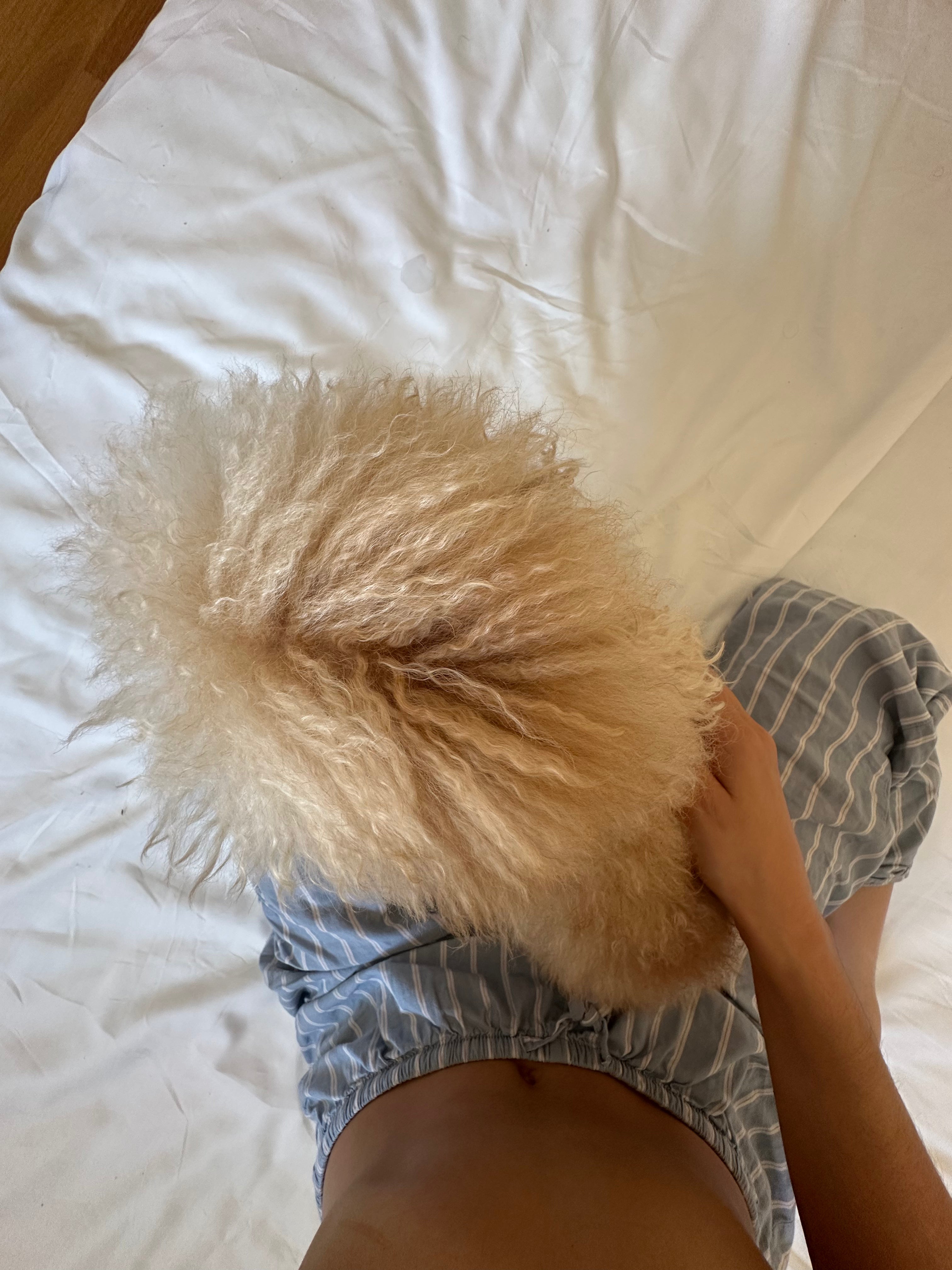 Grooming Benefits: Warum regelmäßige Hundepflege so wichtig ist