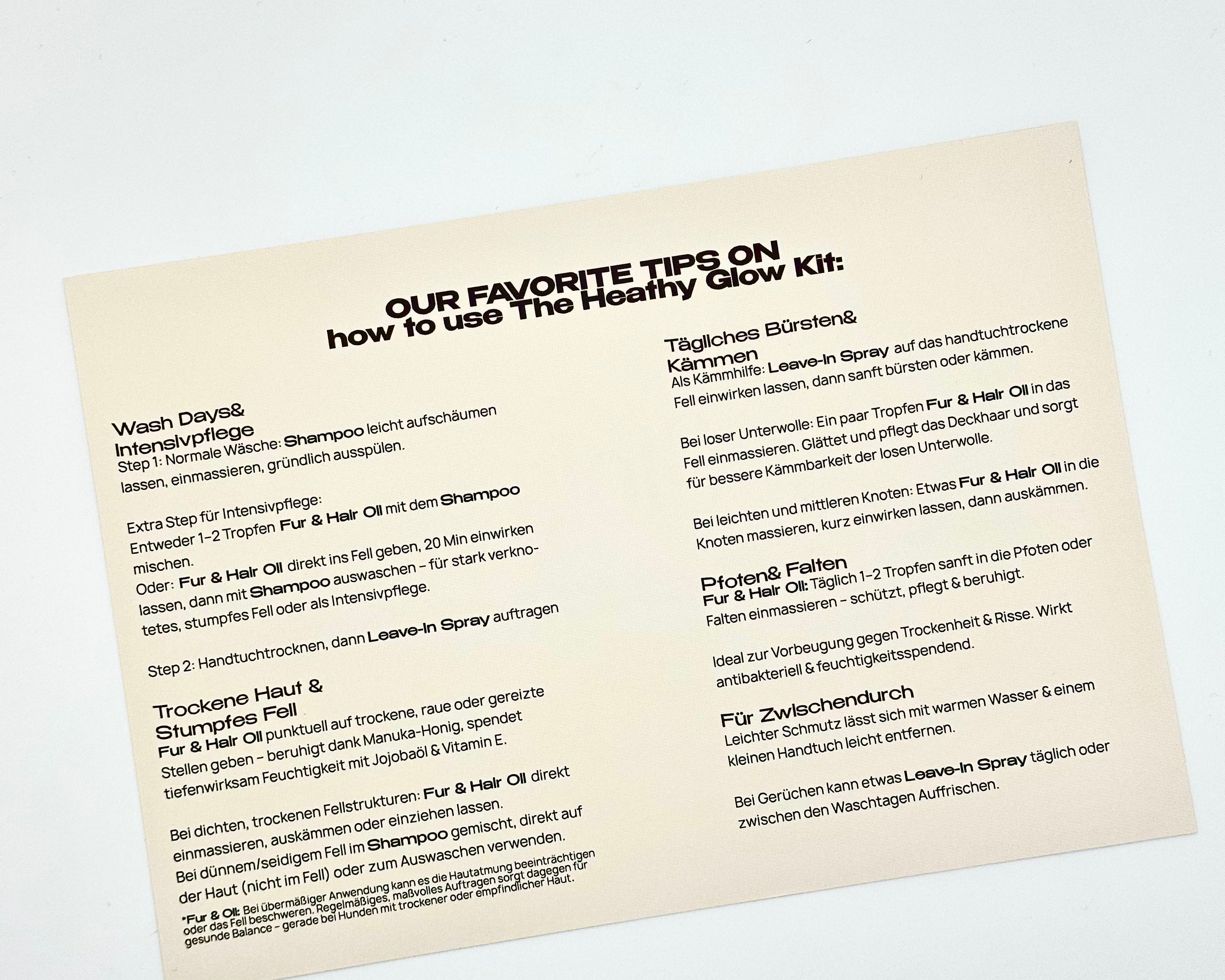 Pflegeroutinen für Hunde: 5 Tipps, die zeigen, wie einfach eine gute Fellpflege sein kann