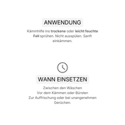 Leave-In Pflegespray