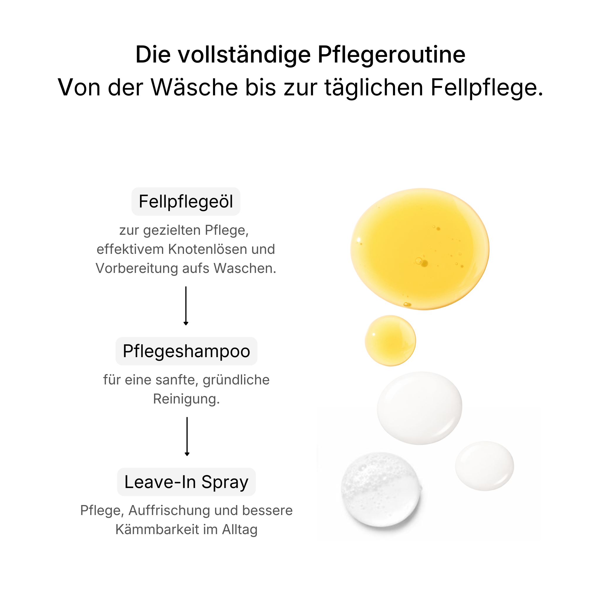 Anti-Knoten-Rundum-Set