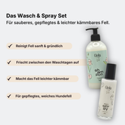 Wasch & Spray Set