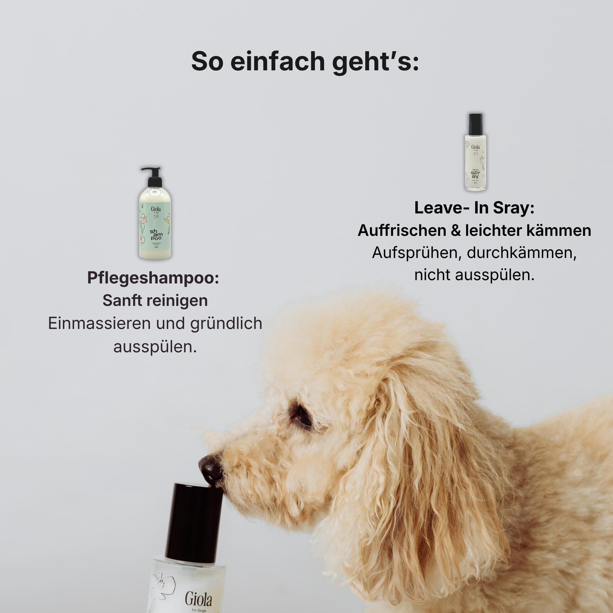 Wasch & Spray Set