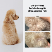 Glanz & Pflege Set