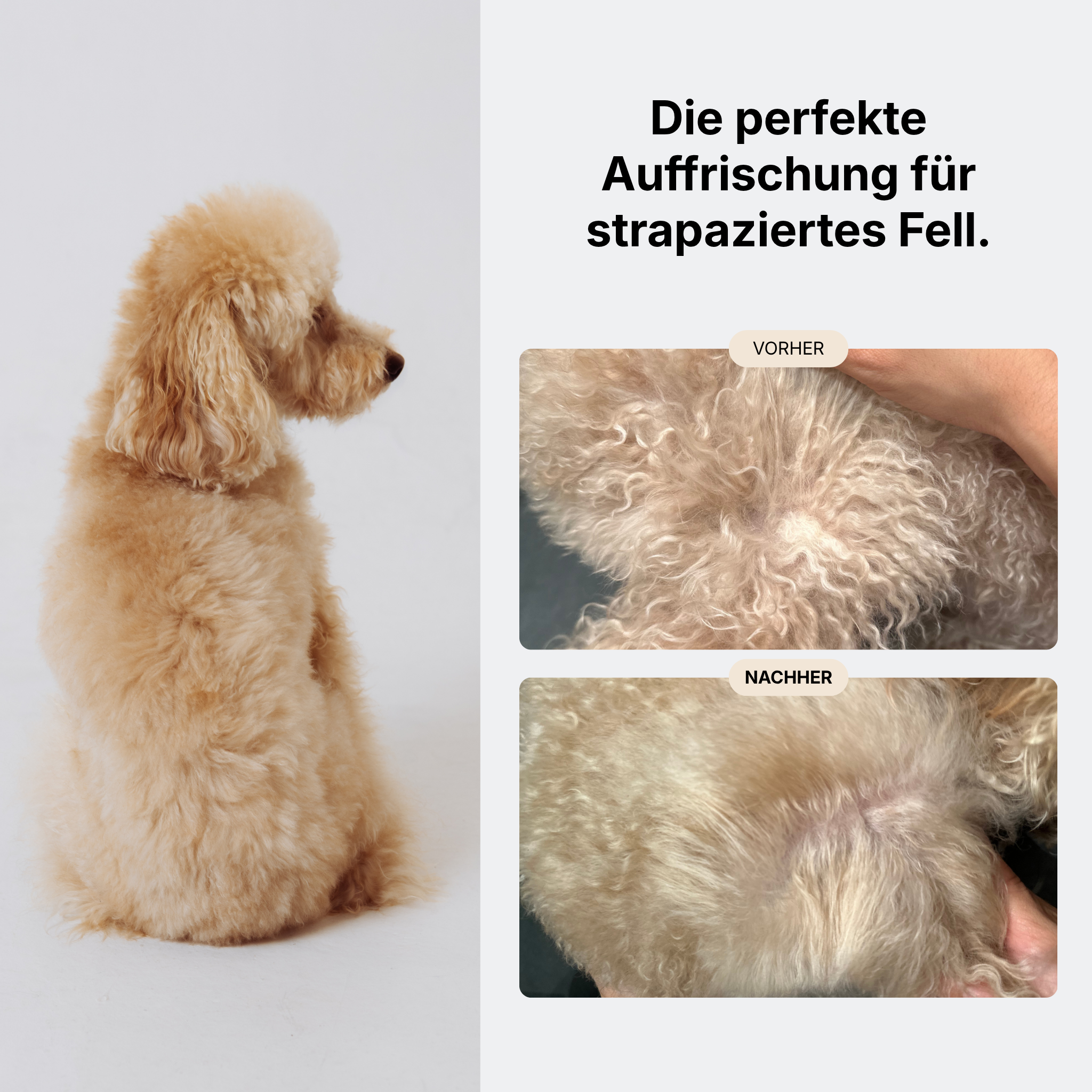 Glanz & Pflege Set