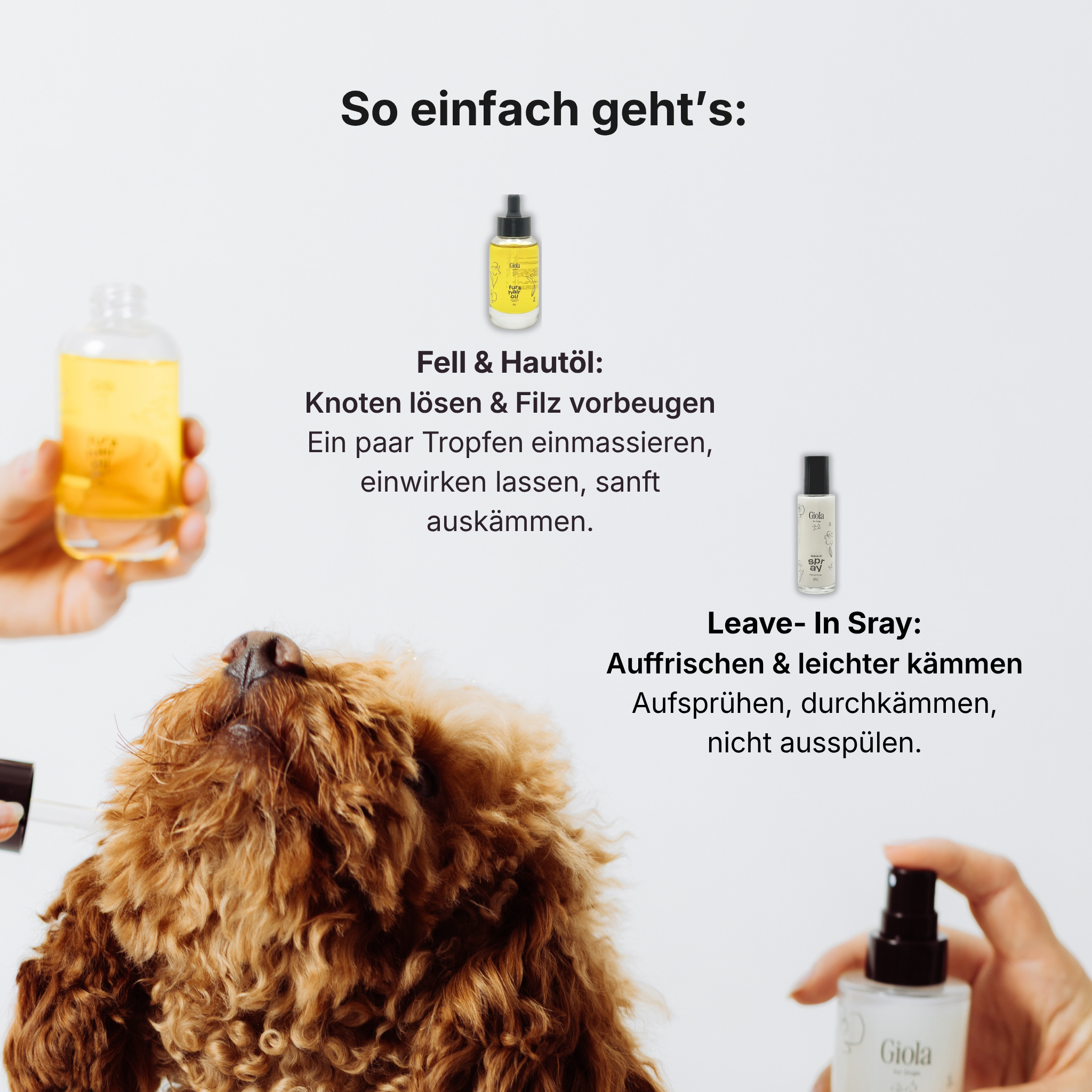 Glanz & Pflege Set