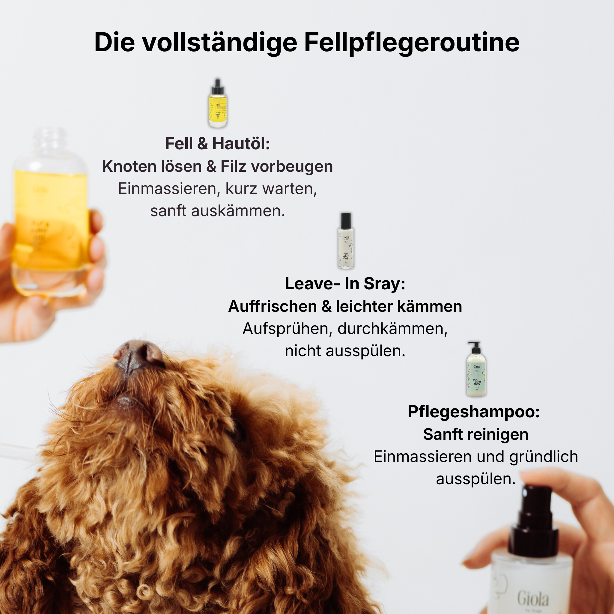 Anti-Knoten-Rundum-Set