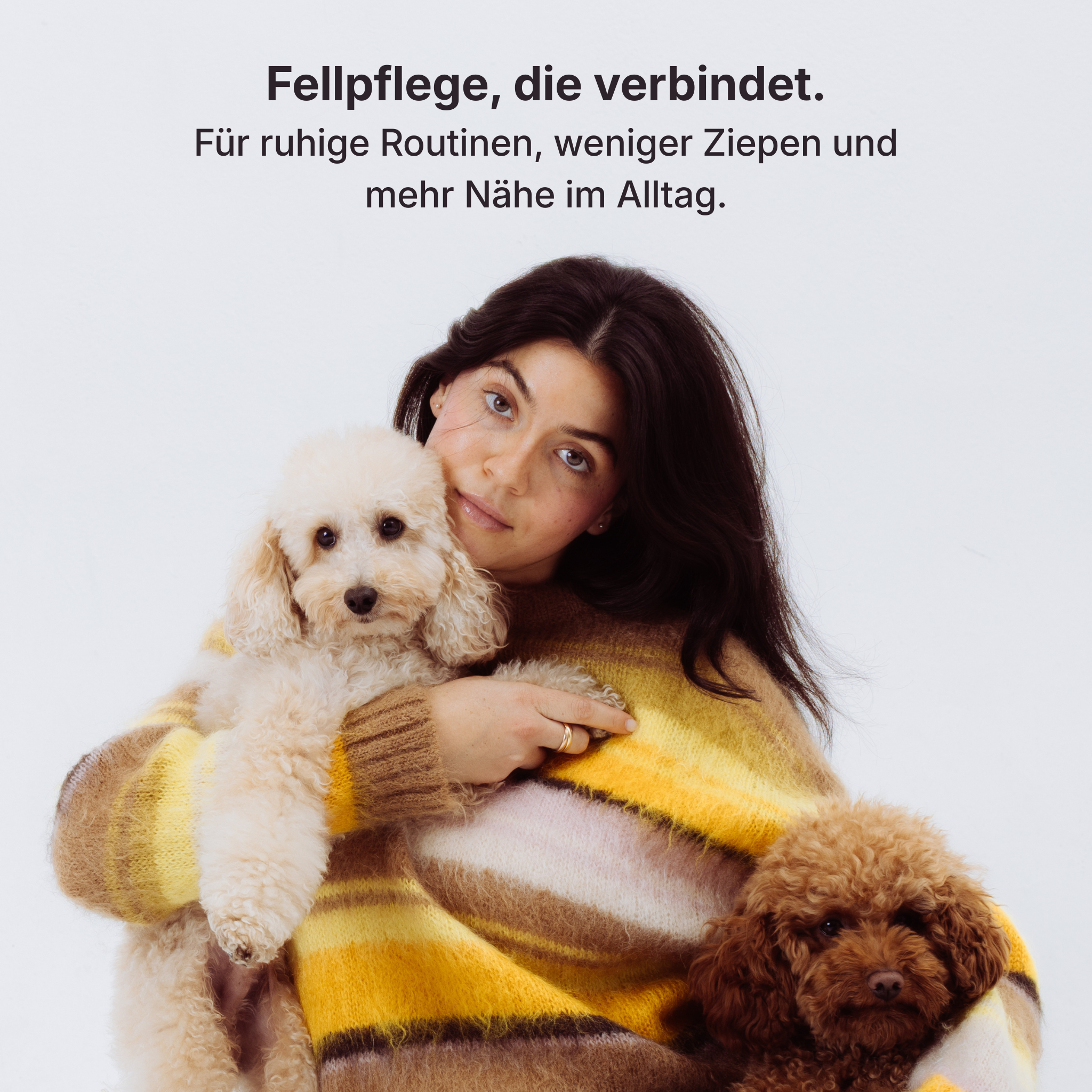 Anti-Knoten-Rundum-Set