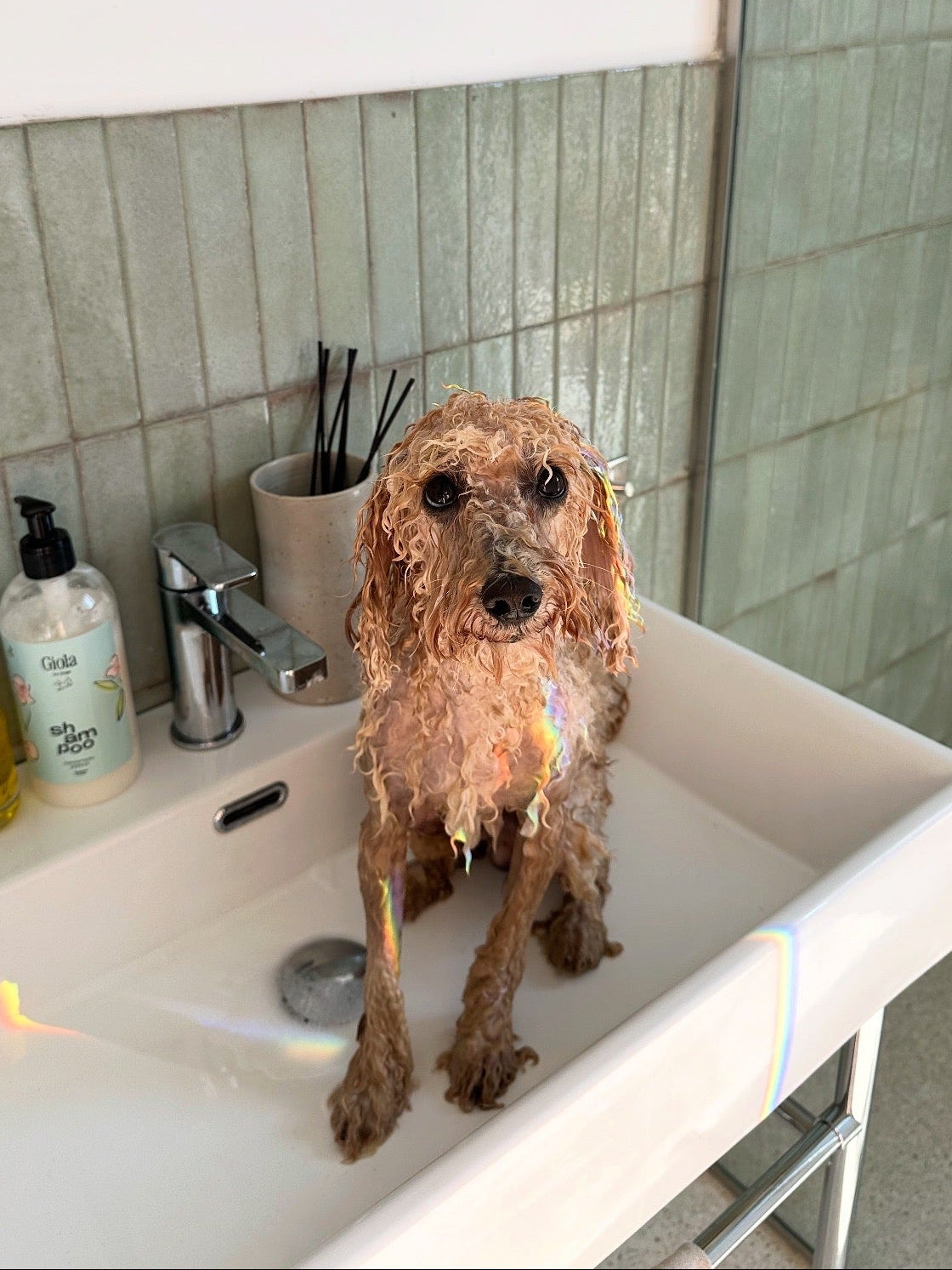 Während der Wäsche: Barriereschutz