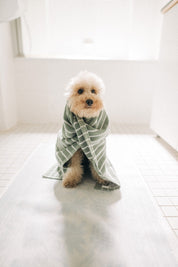 Anti-Knoten-Rundum-Set