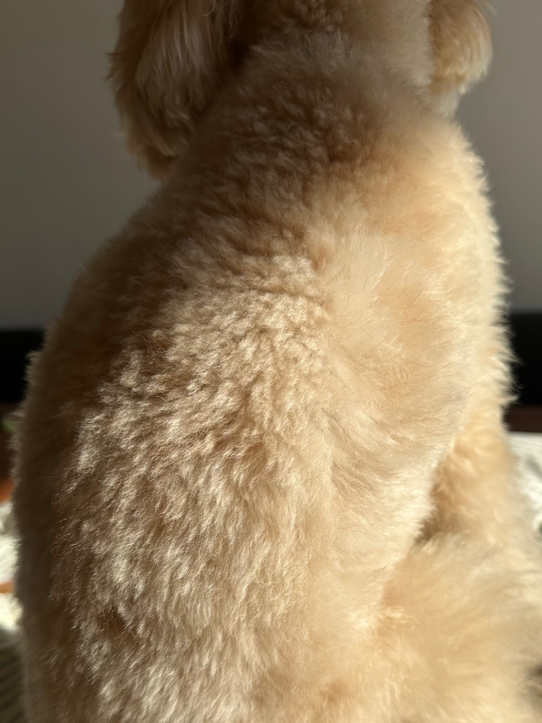 Nach der Wäsche: Langfristige Stabilität