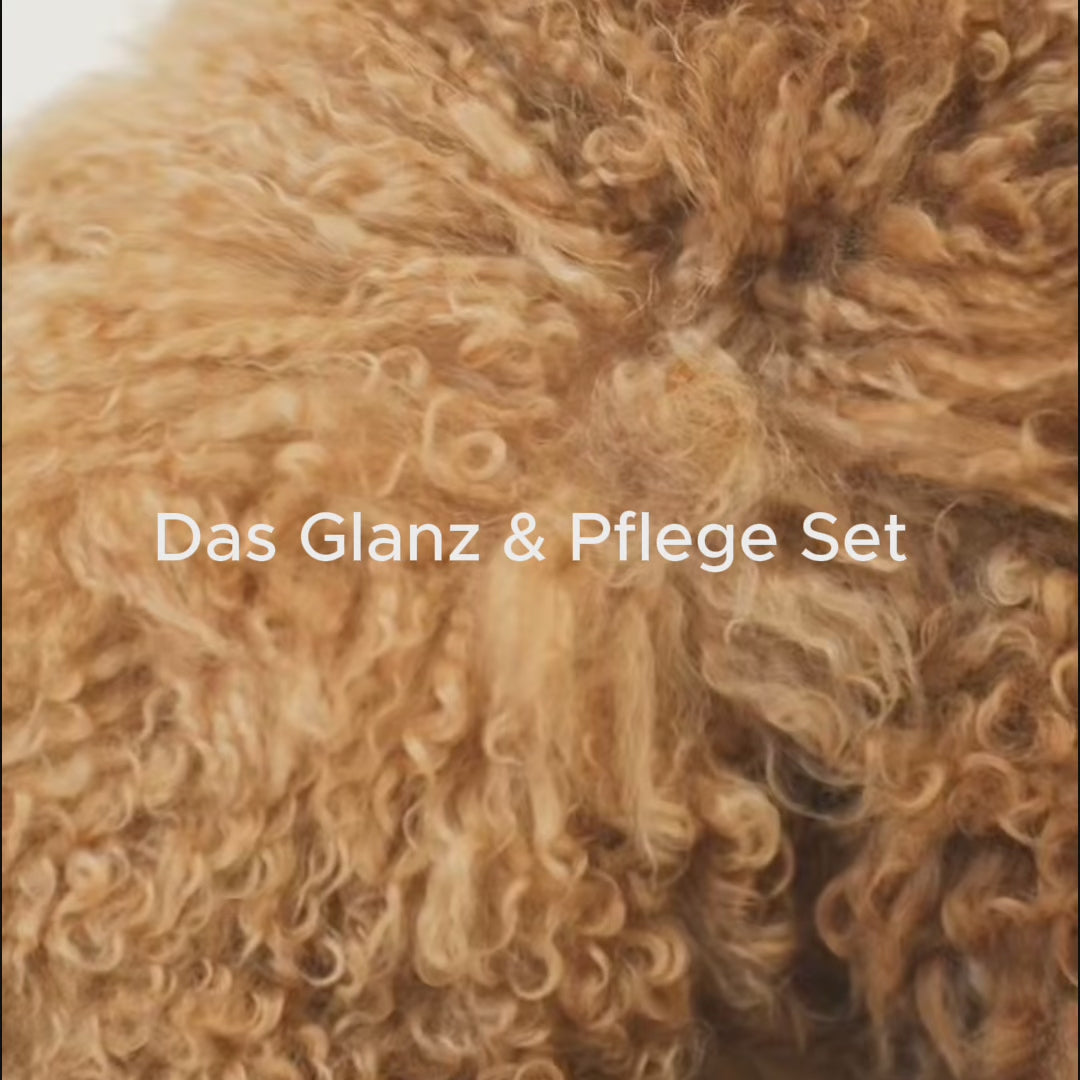 Glanz & Pflege Set