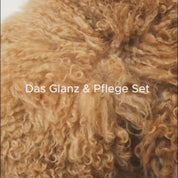 Glanz & Pflege Set
